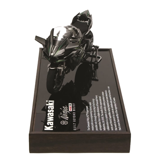 Picture of TAMIYA Model Kawasaki  Ninja H2R