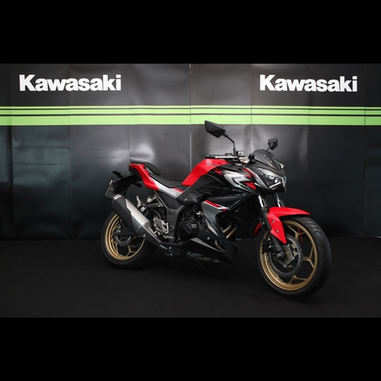Picture of Kawasaki Z300 RED